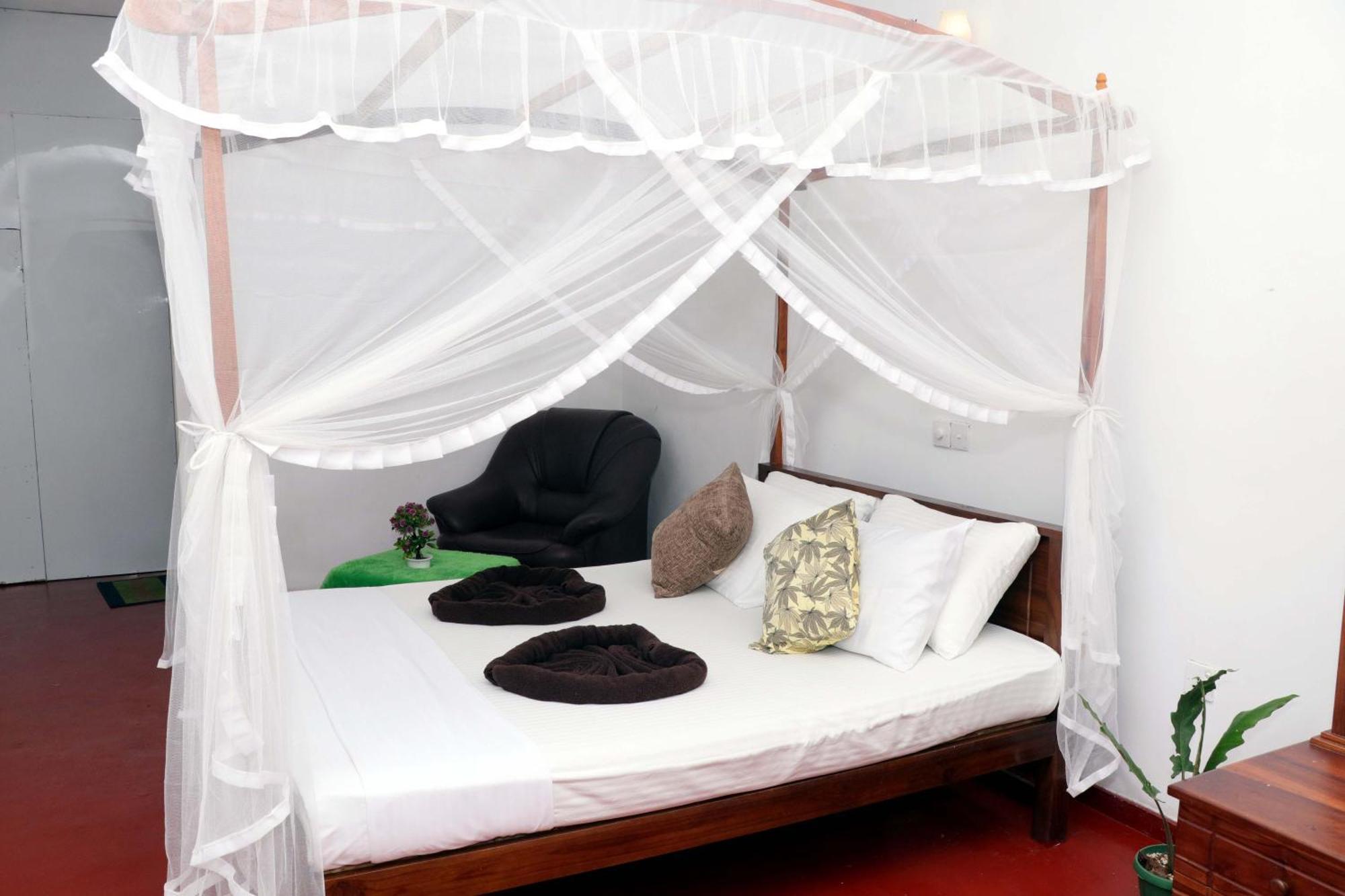 فندق Tamasha Mango House ديكويلاّ تين المظهر الخارجي الصورة
