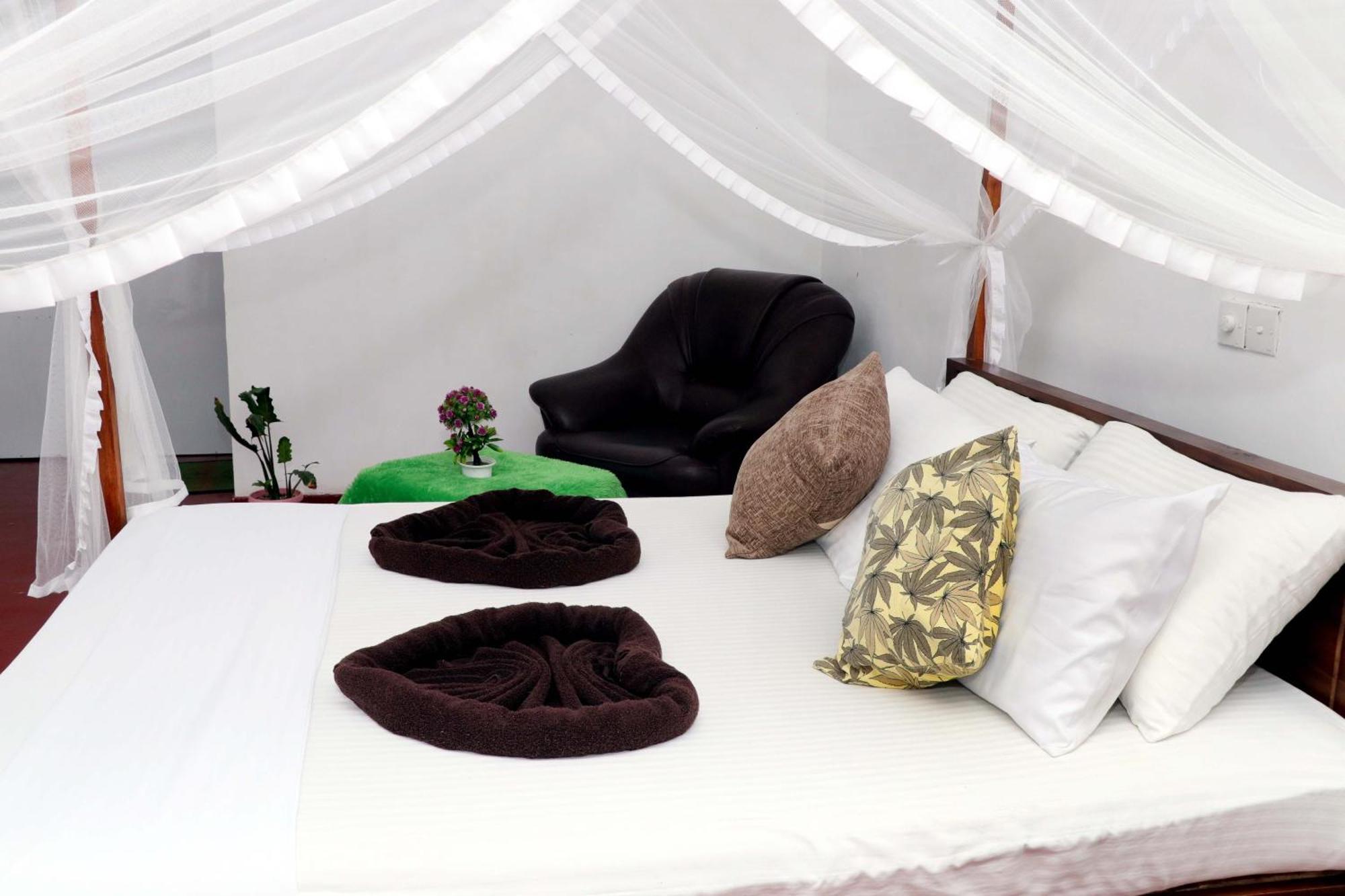 فندق Tamasha Mango House ديكويلاّ تين المظهر الخارجي الصورة